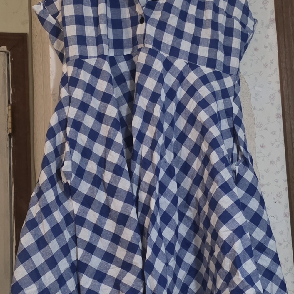 Blue and White Checkered Womens 50s Style Dress